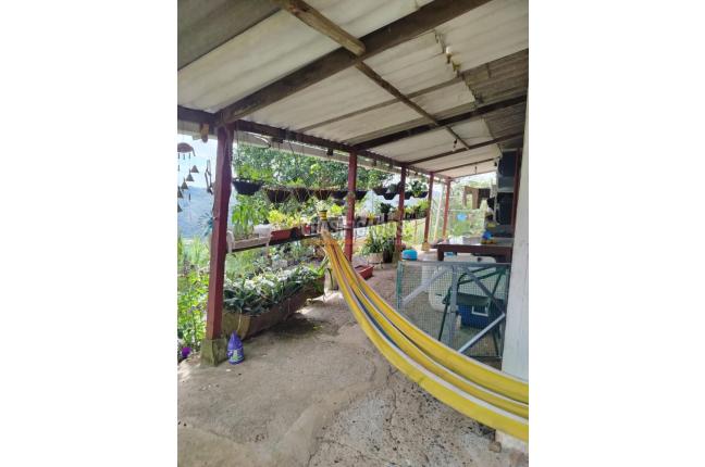 Casas, Venta, Pichindé - $225.000.000