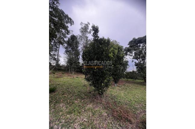 Fincas y Casas Campestres, Venta, Caldono - $440.000.000