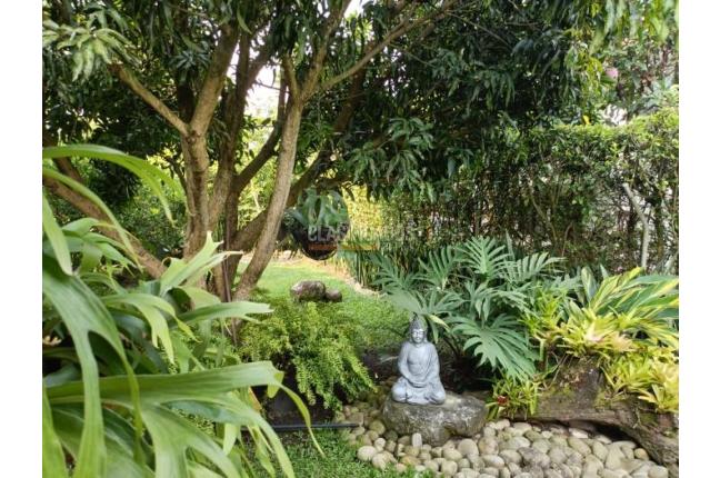 Casas, Venta, Pance - $1.500.000.000