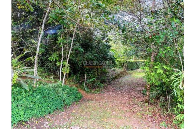 Lotes, Venta en Pance