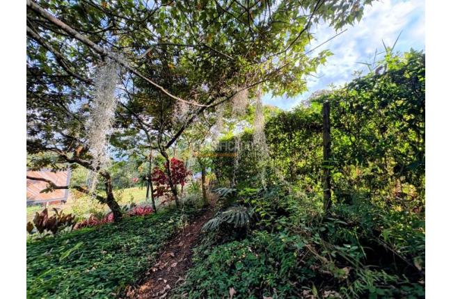 Lotes, Venta, Pance - $1.200.000.000