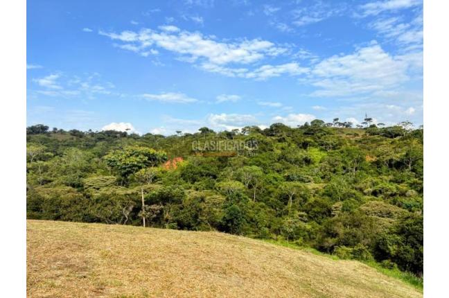 Lotes, Venta, Pance - $1.200.000.000