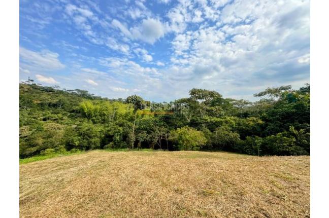 Lotes, Venta, Pance - $1.200.000.000