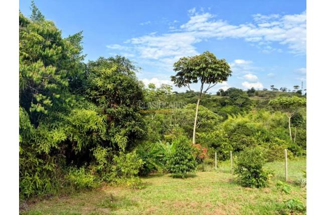 Lotes, Venta, Pance - $1.200.000.000