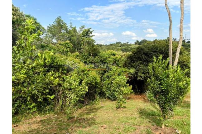 Lotes, Venta, Pance - $1.200.000.000