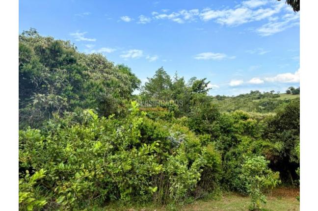 Lotes, Venta, Pance - $1.200.000.000