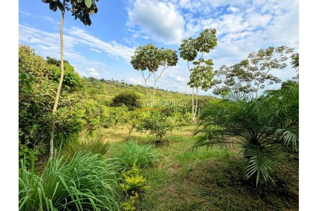 Lotes, Venta, Pance - $1.200.000.000