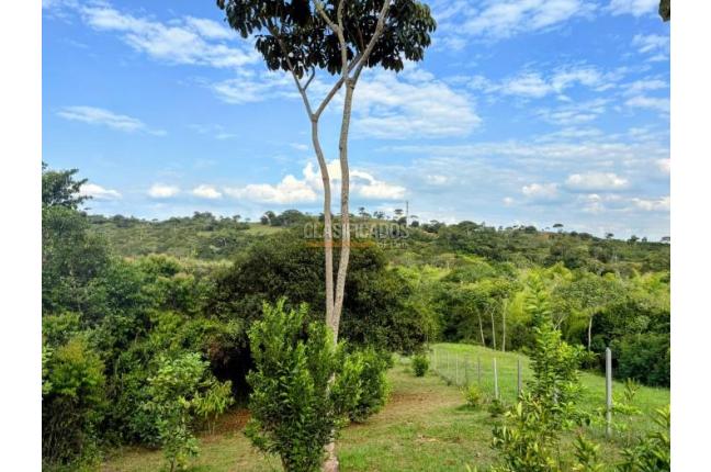 Lotes, Venta, Pance - $1.200.000.000