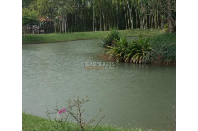 Lotes, Venta, Jamundí - $215.000.000