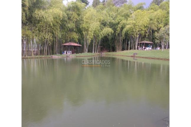 Lotes, Venta, Jamundí - $215.000.000