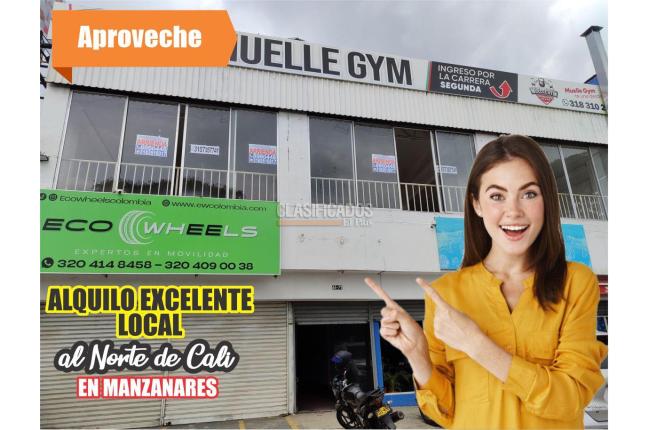 Locales y Bodegas, Alquiler en Manzanares