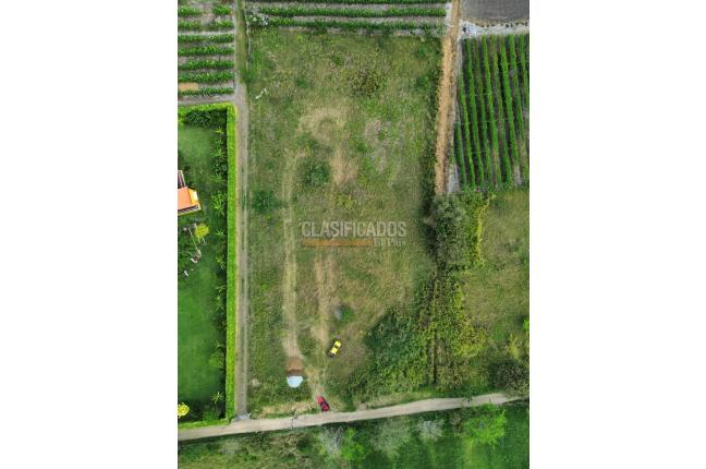 Lotes, Venta en Palmira