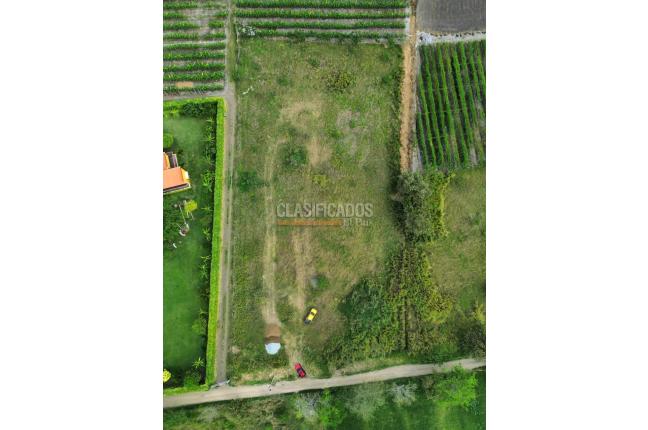 Lotes, Venta en Palmira