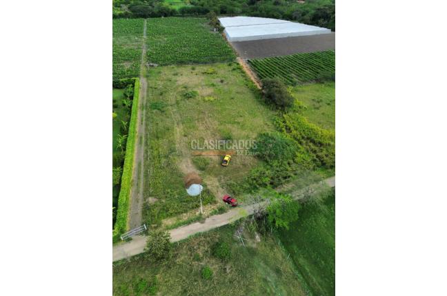 Lotes, Venta en Palmira