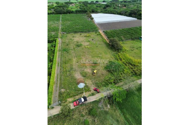 Lotes, Venta, Palmira - $850.000.000