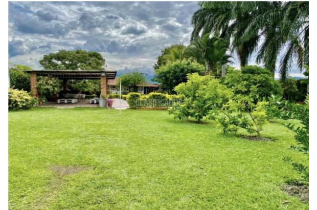 Fincas y Casas Campestres, Venta, Palmira - $980.000.000