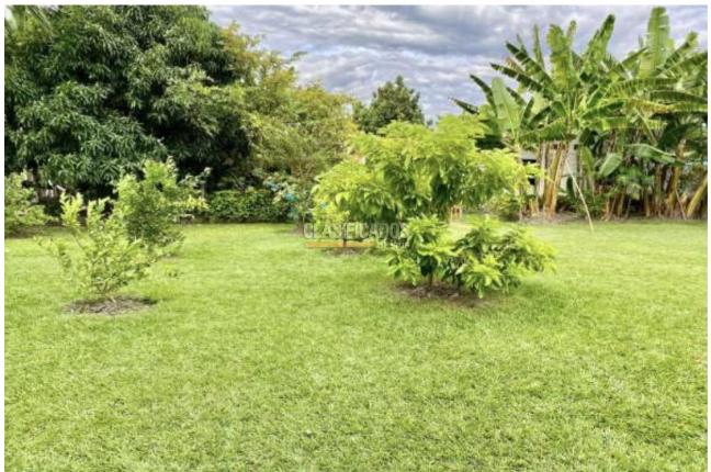 Fincas y Casas Campestres, Venta, Palmira - $980.000.000