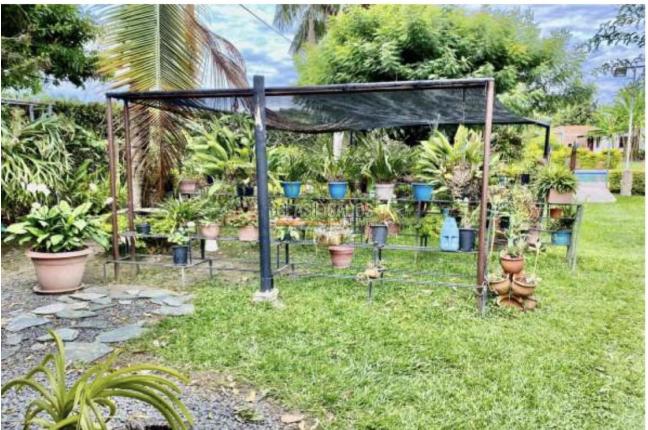 Fincas y Casas Campestres, Venta, Palmira - $980.000.000