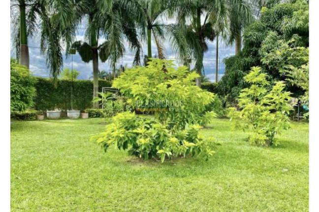 Fincas y Casas Campestres, Venta, Palmira - $980.000.000