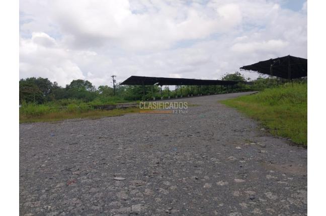 Lotes, Venta, Buenaventura