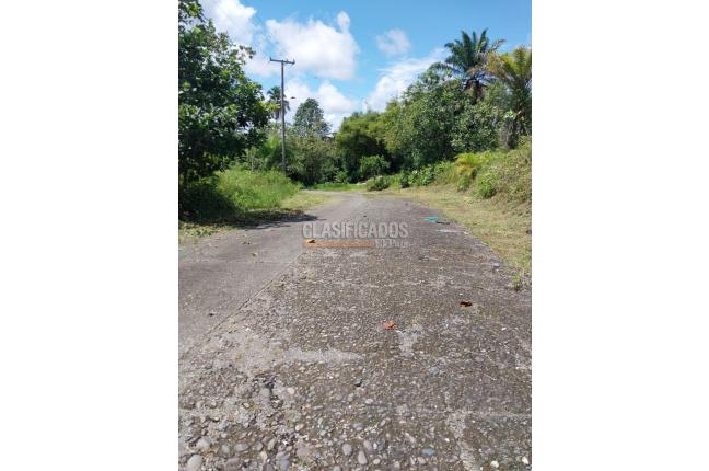 Lotes, Venta, Buenaventura