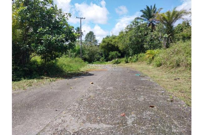 Lotes, Venta, Buenaventura