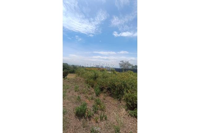 Lotes, Venta en Ciudad Jardín