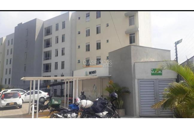 Apartamentos, Alquiler en Bellavista