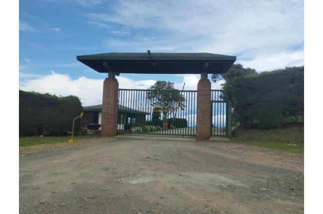 Lotes, Venta en Calima (Darién)