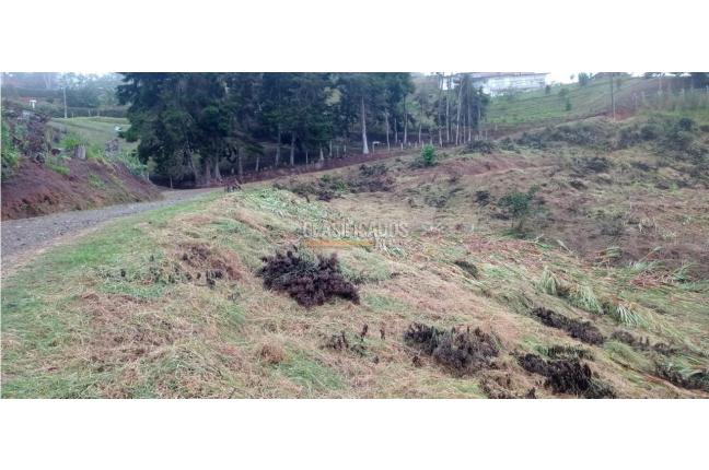 Lotes, Venta, Calima (Darién) - $198.000.000