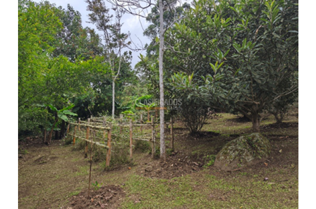 Fincas y Casas Campestres, Venta, Yumbo - $680.000.000