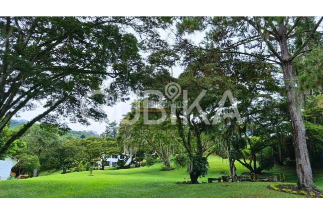 Fincas y Casas Campestres, Venta en Dagua