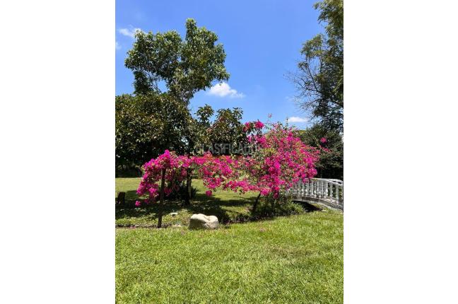 Fincas y Casas Campestres, Venta, El Cerrito - $2.400.000.000