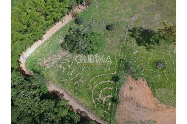 Lotes, Venta, Calima (Darién) - $330.000.000