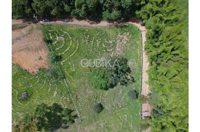 Lotes, Venta en Calima (Darién)