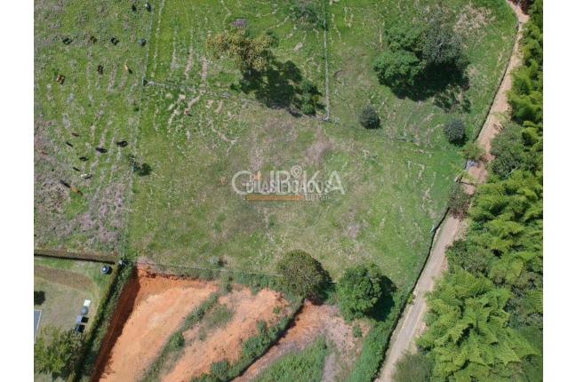 Lotes, Venta en Calima (Darién)