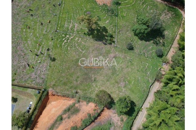 Lotes, Venta en Calima (Darién)