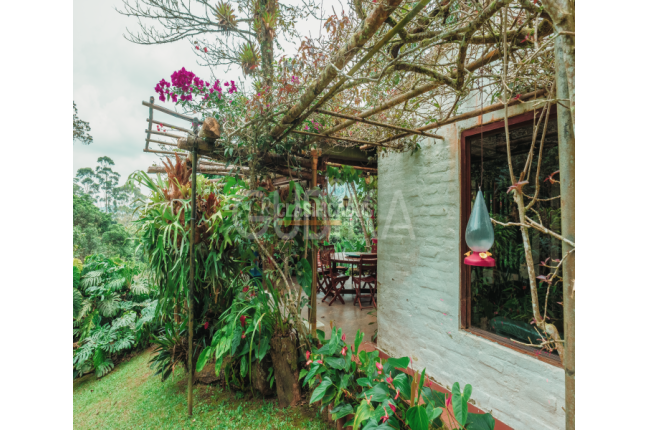 Fincas y Casas Campestres, Venta en Yumbo