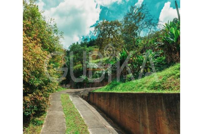 Lotes, Venta en Dapa