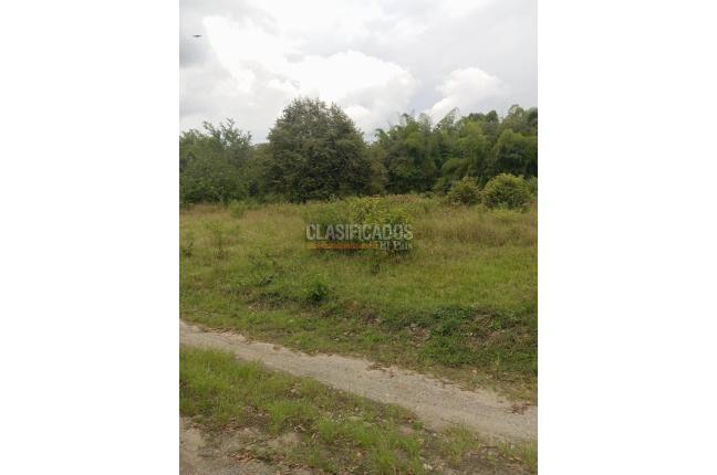 Lotes, Venta, El Cerrito - $340.000.000