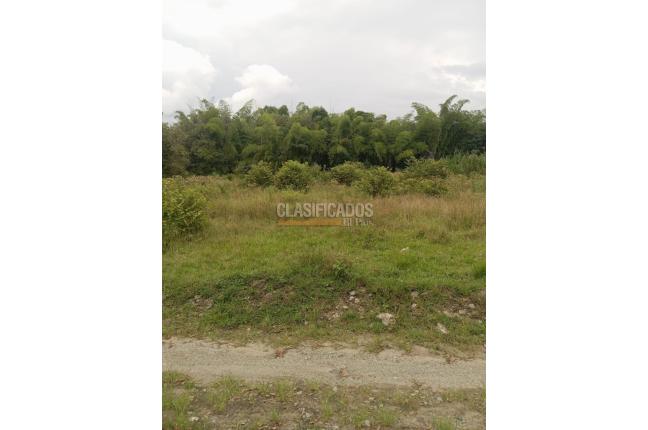 Lotes, Venta, El Cerrito - $340.000.000