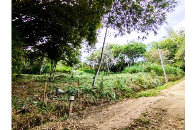 Lotes, Venta, La Buitrera - $350.000.000