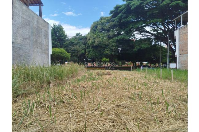 Lotes, Venta, Palmira - $225.000.000