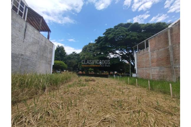 Lotes, Venta, Palmira - $225.000.000