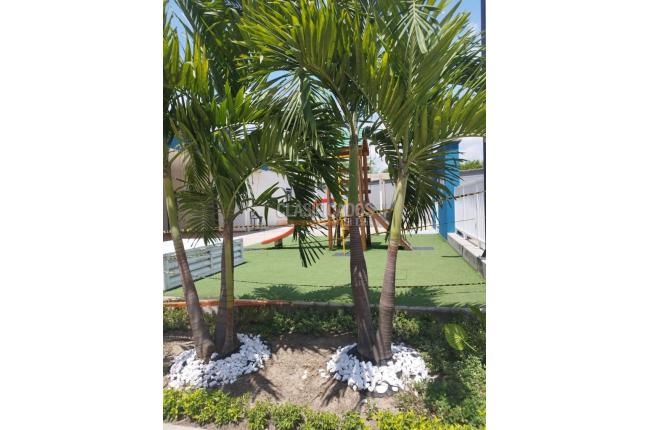 Apartamentos, Venta, Brisas de los Álamos - $260.000.000