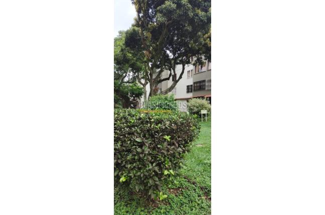 Apartamentos, Venta, La Selva - $158.000.000