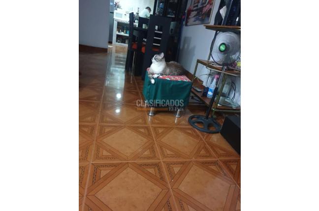 Casas, Venta, Candelaria - $210.000.000