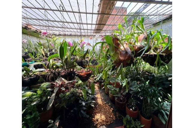 Casas, Venta, Camino Real - $700.000.000