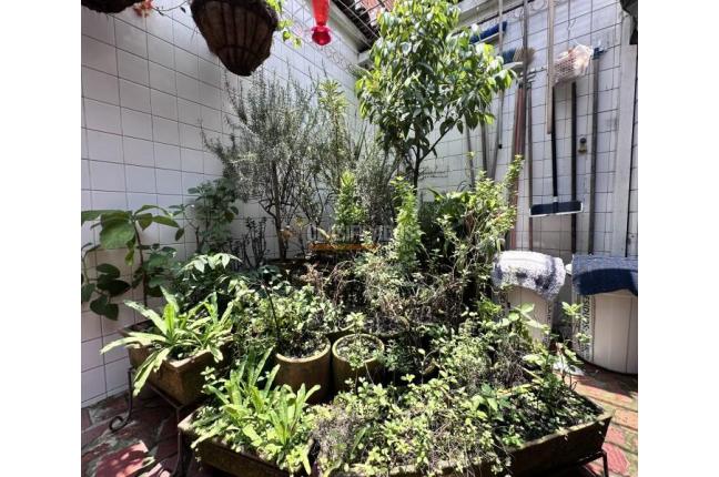 Casas, Venta, Camino Real - $700.000.000