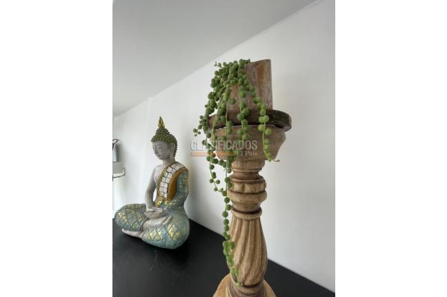 Apartaestudios, Venta, La Flora - $280.000.000